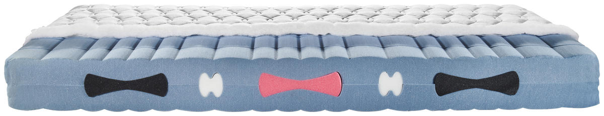 KALTSCHAUMMATRATZE 80/200 cm Höhe ca. 21 cm  - Weiß, Basics, Textil (80/200cm) - Sleeptex