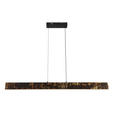 LED-HÄNGELEUCHTE Oxira 110/7/120 cm  - Multicolor/Schwarz, Design, Kunststoff/Metall (110/7/120cm) - Dieter Knoll