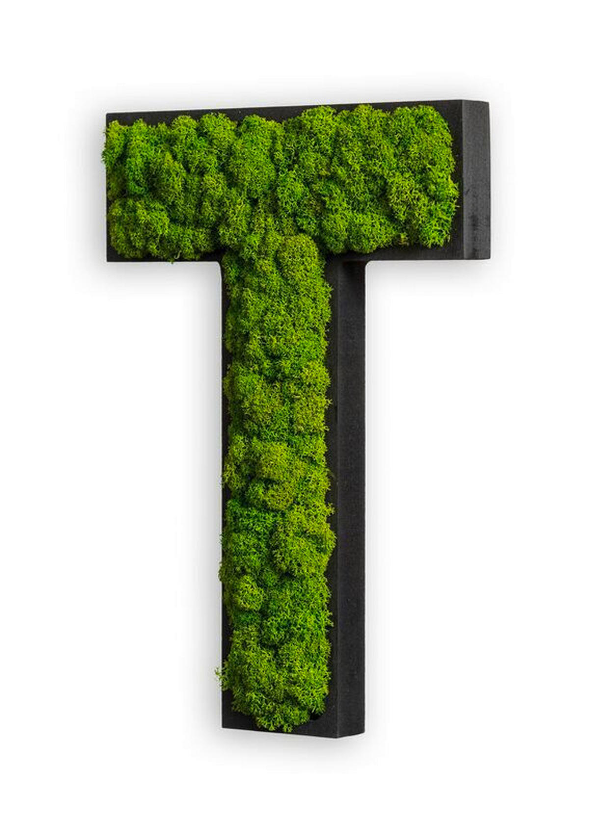 MACHOVÝ OBRAZ - čierna/zelená, Basics, drevo/prírodné materiály (25/19/4cm)