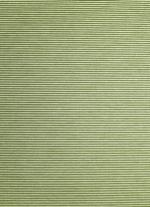 FLÄCHENVORHANG in Smaragdgrün transparent  - Smaragdgrün, Basics, Textil (60/245cm)