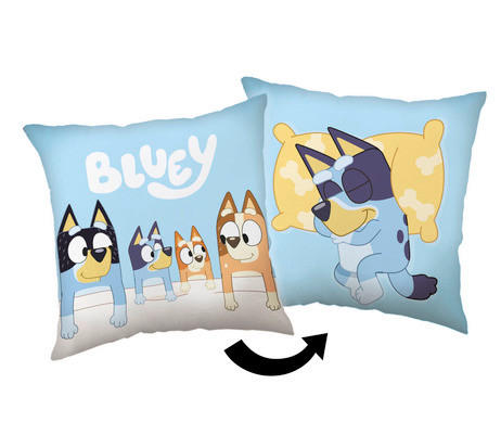 DEKORAČNÍ POLŠTÁŘ 40/40 cm - Trend (40/40cm)