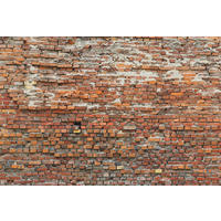 VLIESTAPETE BRICKLANE  - Multicolor, ROMANTIK / LANDHAUS, Papier (368/248cm) - Komar