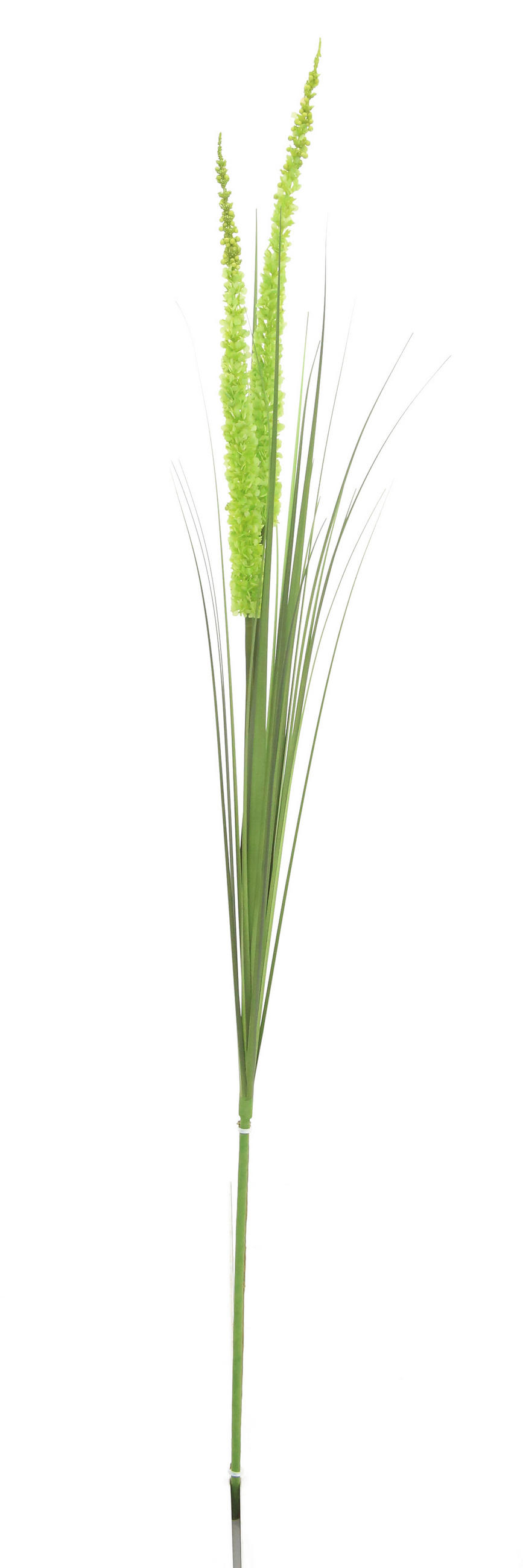 UMELÁ RASTLINA 120 cm - zelená, Basics, kov/plast (120cm) - Ambia Home