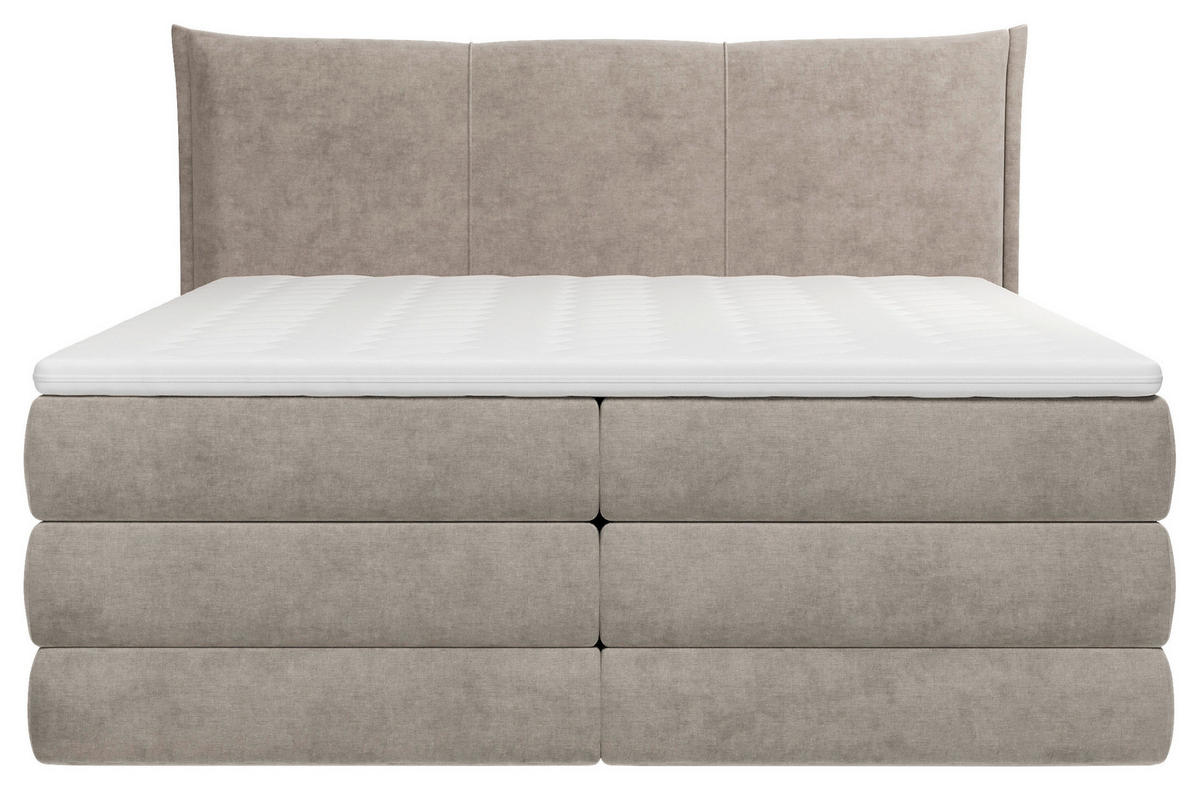 BOXSPRINGBETT 180/200 cm  Hellgrau  - Hellgrau/Schwarz, Modern, Holz/Holzwerkstoff (180/200cm) - MID.YOU