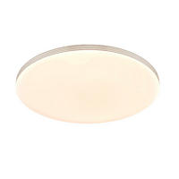 LED PLAFONJERA - bela, Osnovno, metal/plastika (35cm)