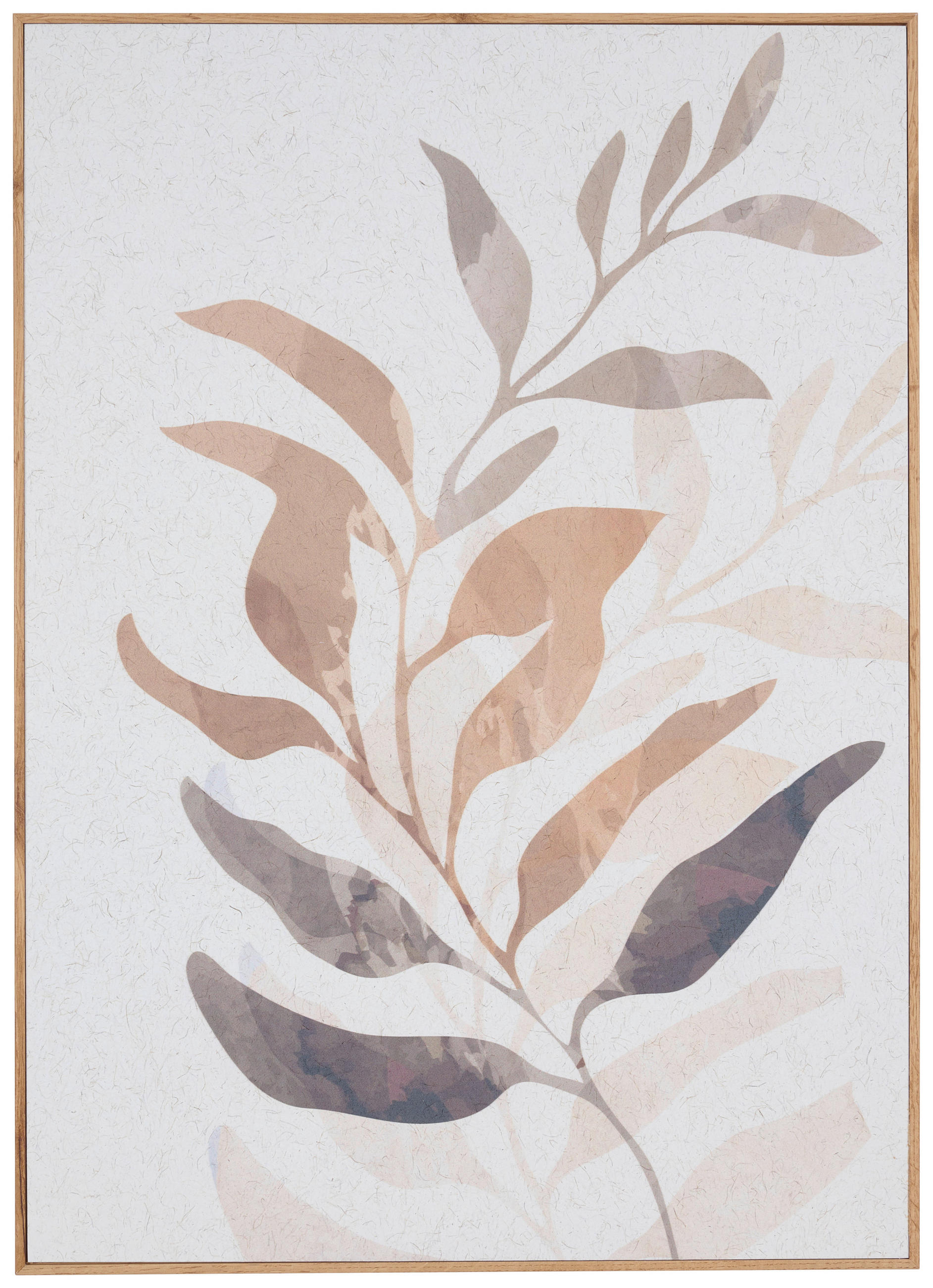 UMELECKÁ TLAČ, kvety, 51,2/71,2 cm  - viacfarebná/farba duba, Basics, kompozitné drevo/papier (51,2/71,2cm) - Monee