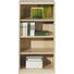 REGAL Ahornfarben - Ahornfarben, Design, Holzwerkstoff (55/110/36cm) - CS SCHMAL
