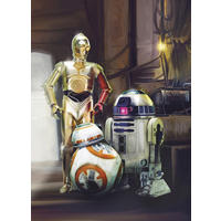FOTOTAPETE Star Wars  - Multicolor, Design, Papier (184/254cm) - Star Wars