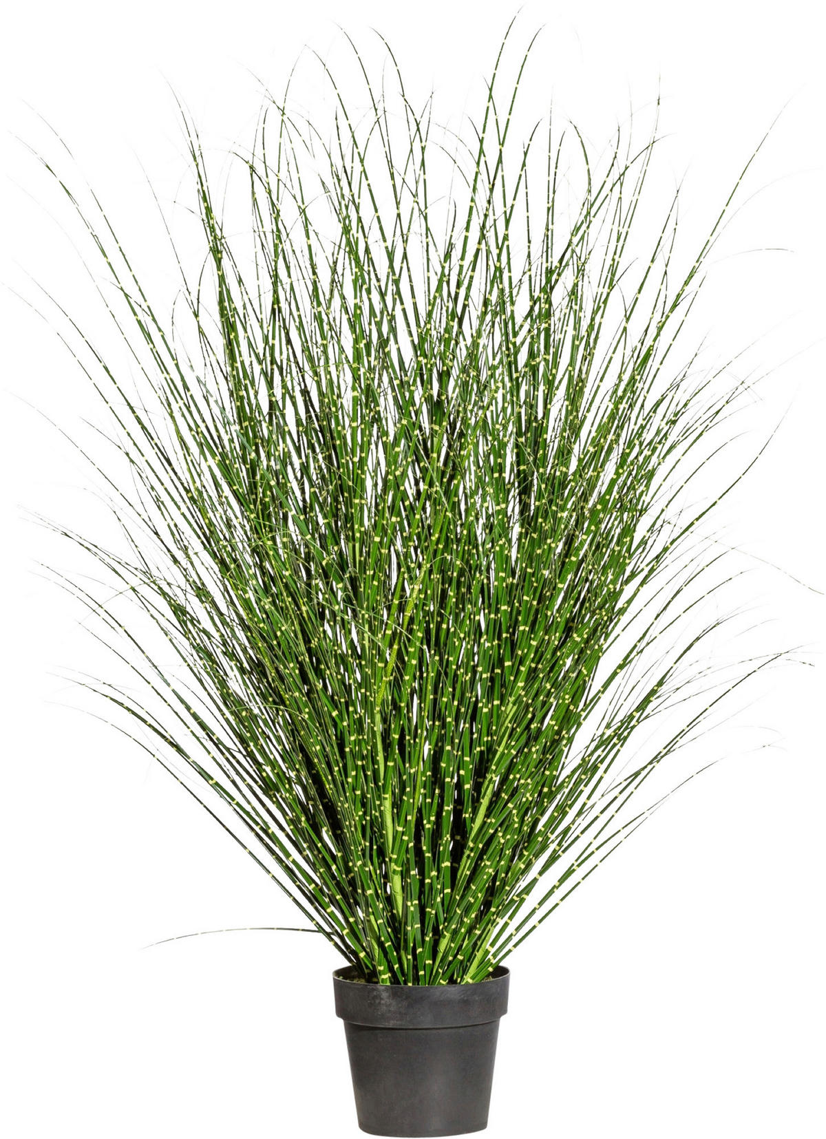 KUNSTPFLANZE Schilfgras 140 cm  - Gelb/Schwarz, Design, Kunststoff (140cm) - P & B