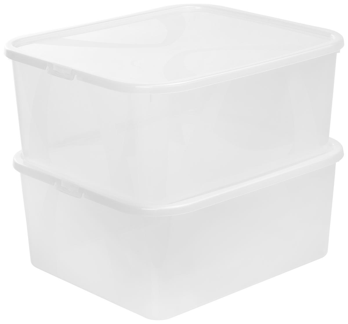 BOX MIT DECKEL ARCO  - Transparent, Basics, Kunststoff (42/35/17cm) - Rotho