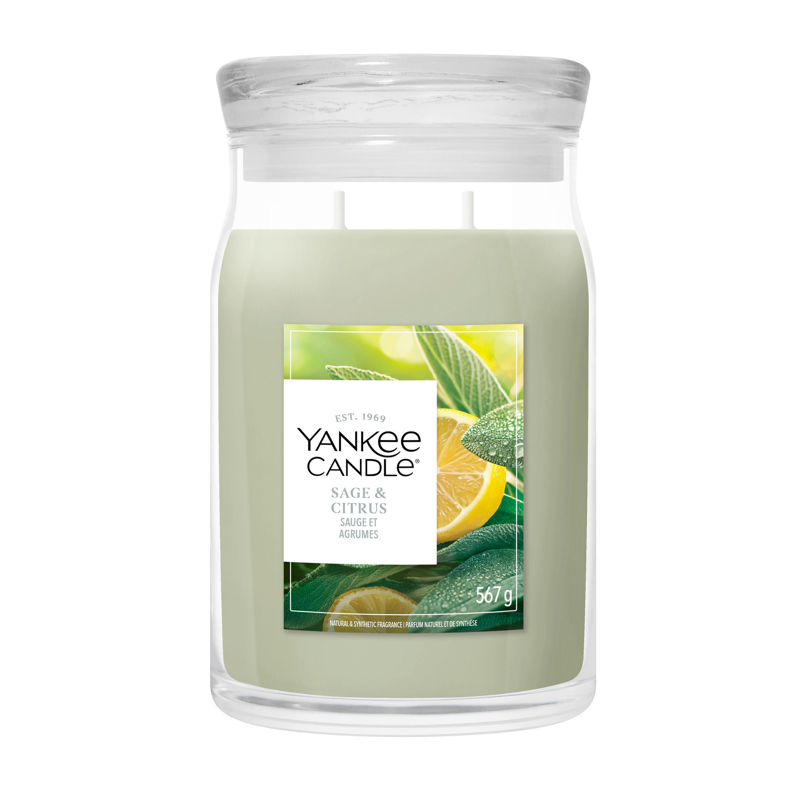 ILLATGYERTYA - világoszöld, Basics, paraffin (10/15.7/10cm) - Yankee Candle