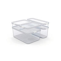 KÜHLSCHRANKBOX CAUMA  - Weiß, Basics, Kunststoff (29,2/28,4/17cm) - Rotho