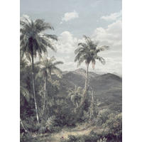 FOTOTAPETE - Multicolor, Trend (200/280cm)