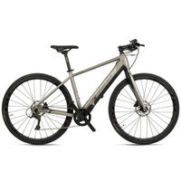 ELEKTROFAHRRAD - Hellgrau, Basics, Metall (180/70/100cm) - Atrigo