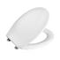 WC-SITZ Weiß - Weiß, Basics, Kunststoff (38/5,5/46cm) WC-SITZ Weiß - Weiß, Basics, Kunststoff (38/5,5/46cm)