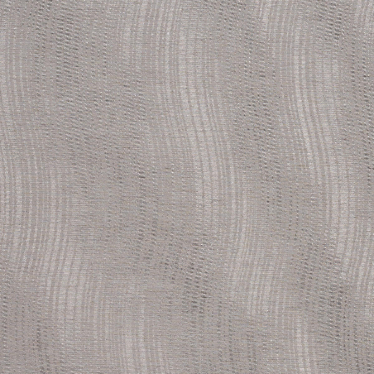 FLÄCHENVORHANG   transparent   60/245 cm  - Braun, Design, Textil (60/245cm) - Novel