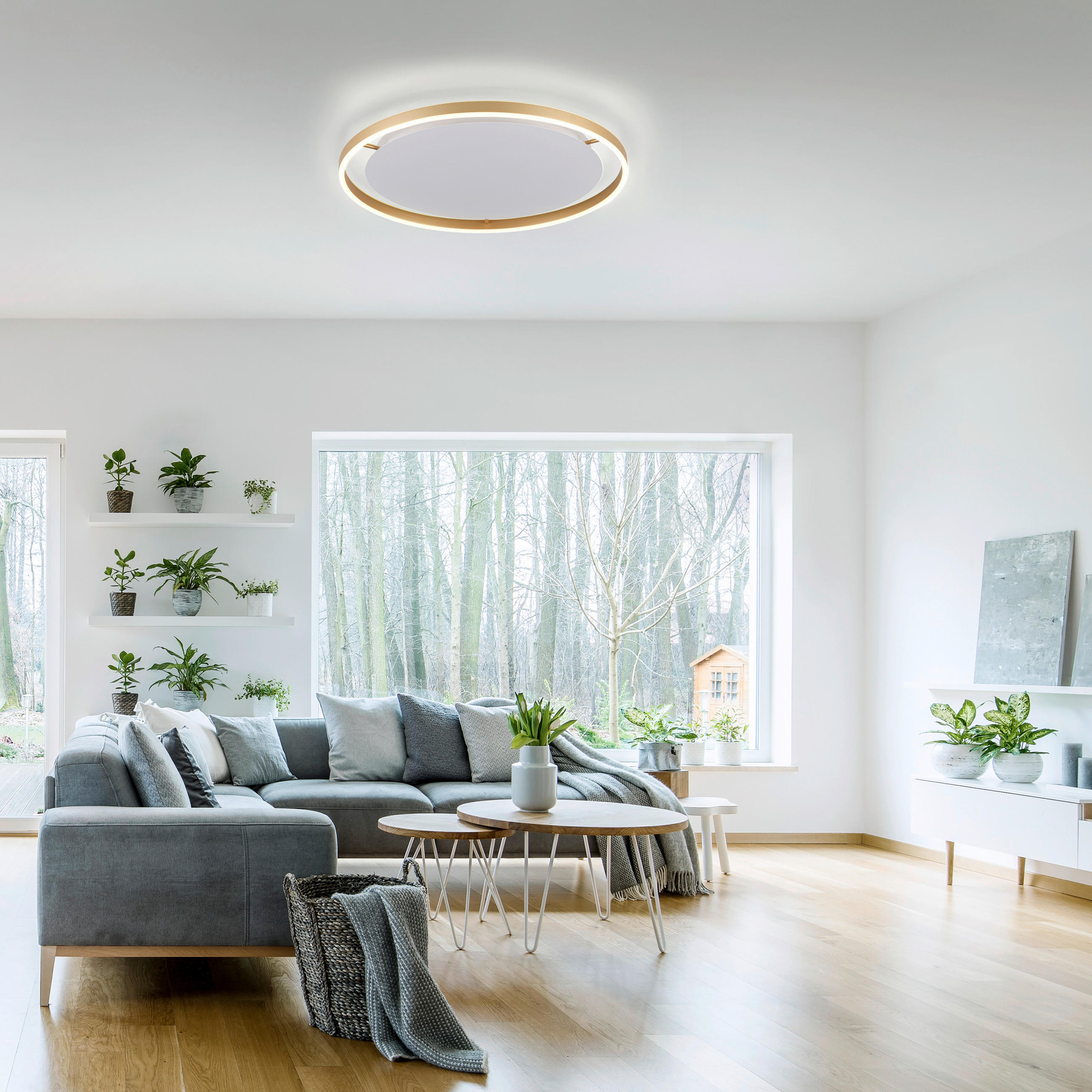 LED-DECKENLEUCHTE 58,5/58,5/5,3 cm   - Messingfarben, Design, Kunststoff/Metall (58,5/58,5/5,3cm)