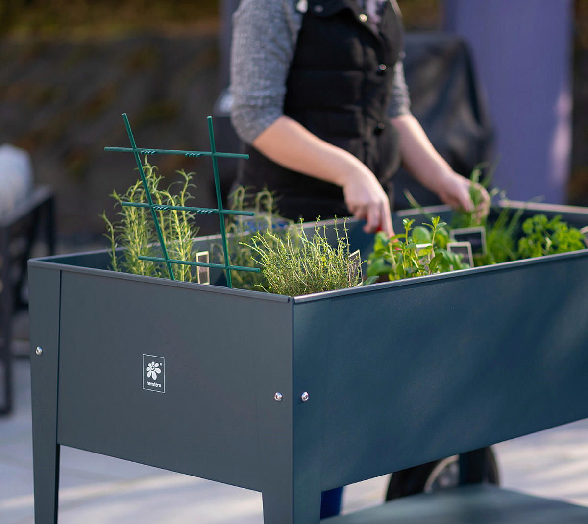 HOCHBEET  - Anthrazit, Basics, Metall (60/80/120cm) - Ambia Garden