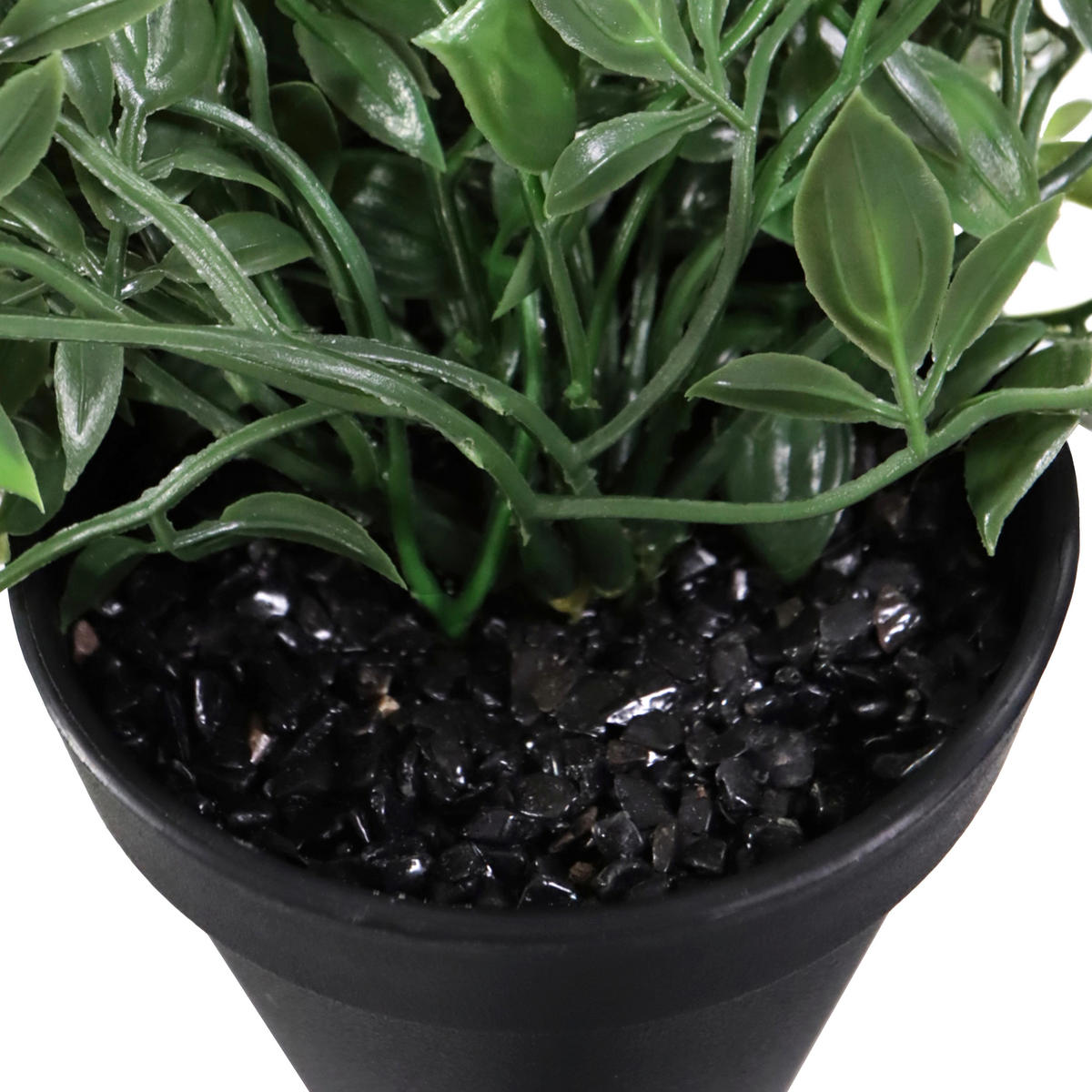 KUNSTPFLANZE Efeutute  - Schwarz/Grasgrün, MODERN, Kunststoff (20/20/50cm) - MID.YOU