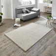 HOCHFLORTEPPICH 67/130 cm Samoa Beige  - Beige, KONVENTIONELL, Kunststoff/Textil (67/130cm) - Novel