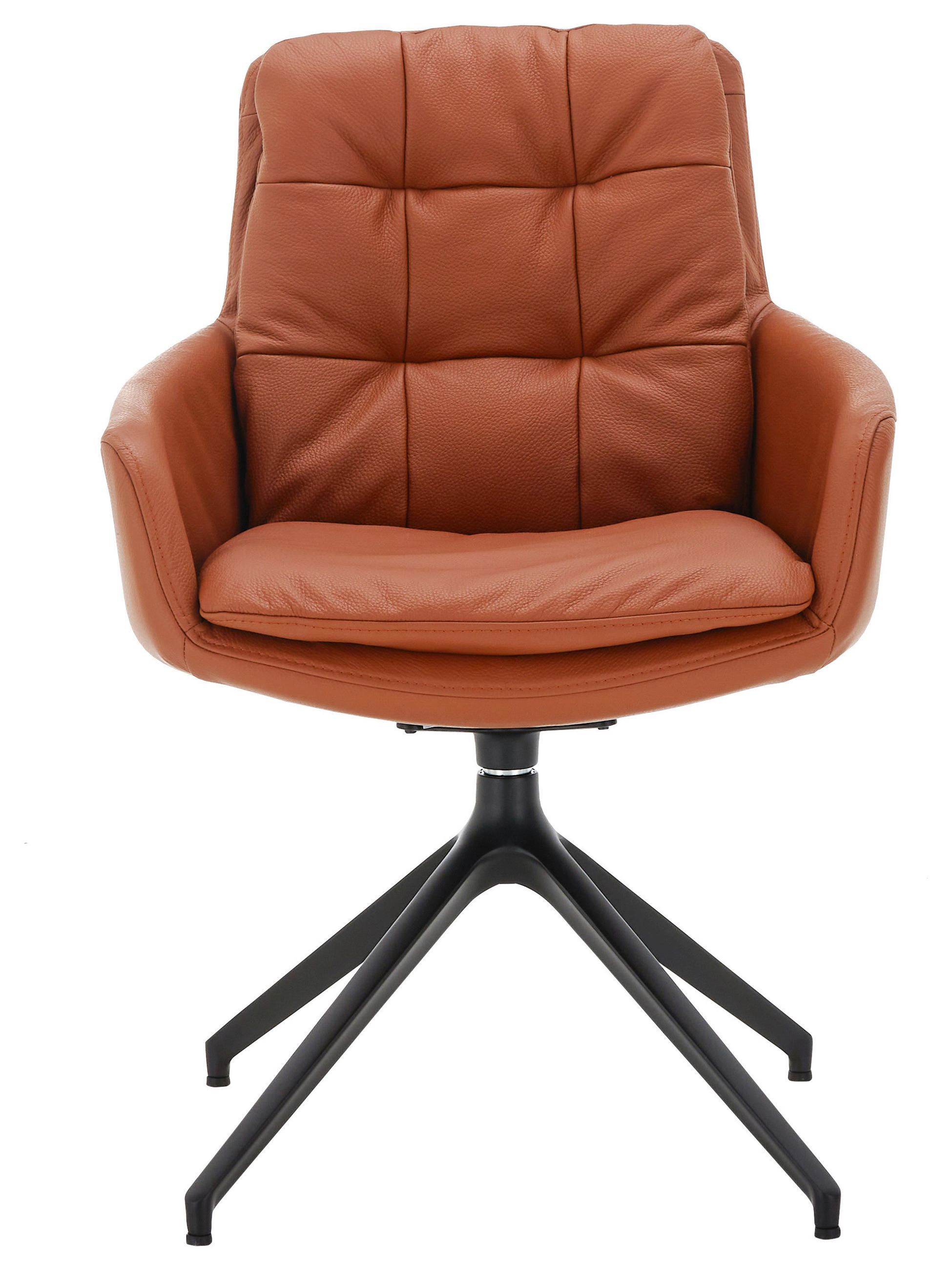 ARMLEHNSTUHL  in Echtleder pigmentiert  - Schwarz/Braun, Design, Leder/Metall (62/90/68cm) - Johann Jakob