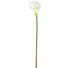 KUNSTBLUME - Creme/Grün, Basics, Kunststoff (95cm) - Ambia Home KUNSTBLUME - Creme/Grün, Basics, Kunststoff (95cm) - Ambia Home