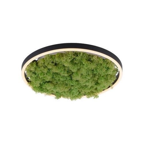 LED-DECKENLEUCHTE Green Ritus 39,3/39,3/5,3 cm   - Naturfarben, Natur, Naturmaterialien/Kunststoff (39,3/39,3/5,3cm)