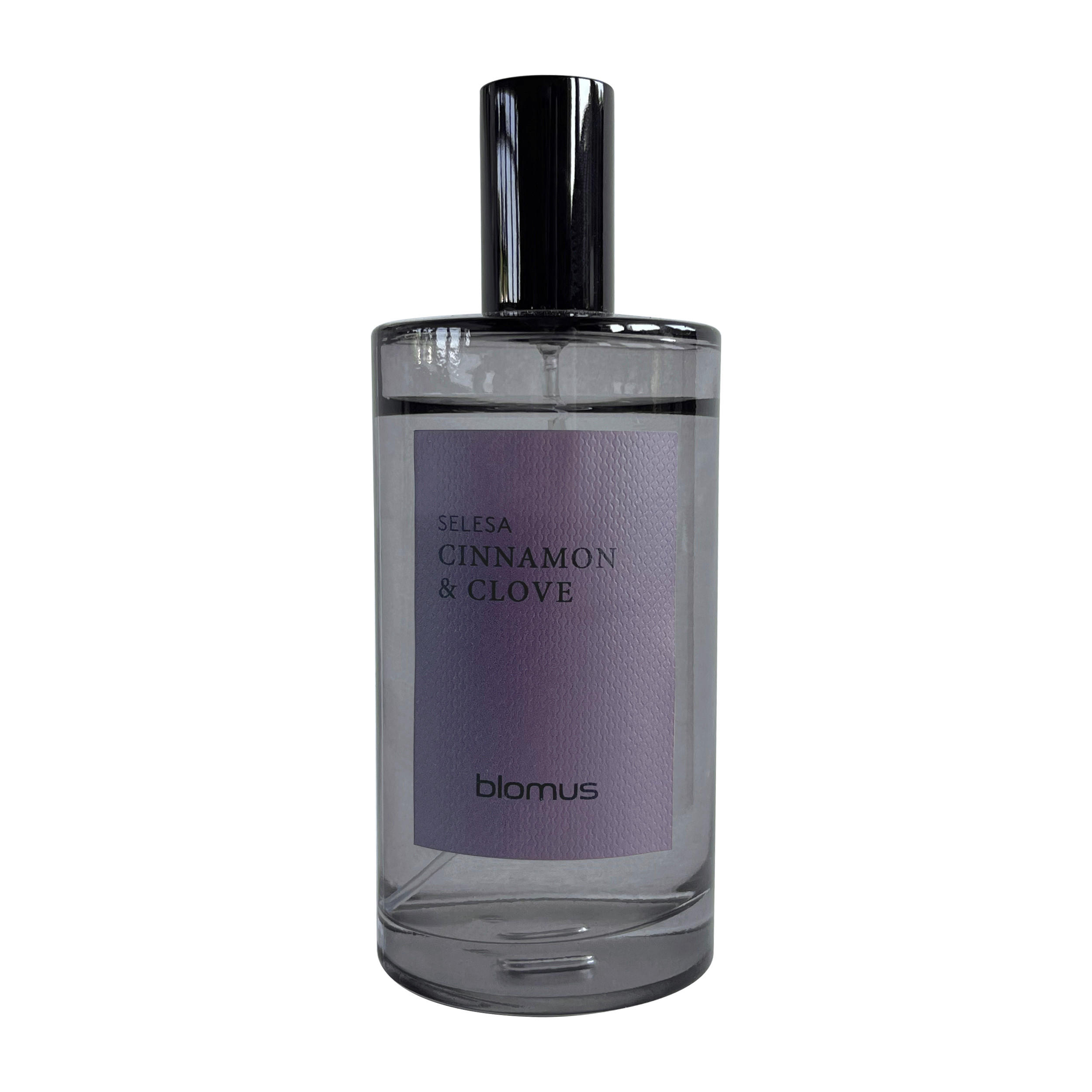 RAUMSPRAY SELESA  - Grau, Trend, Glas (5/13cm) - Blomus