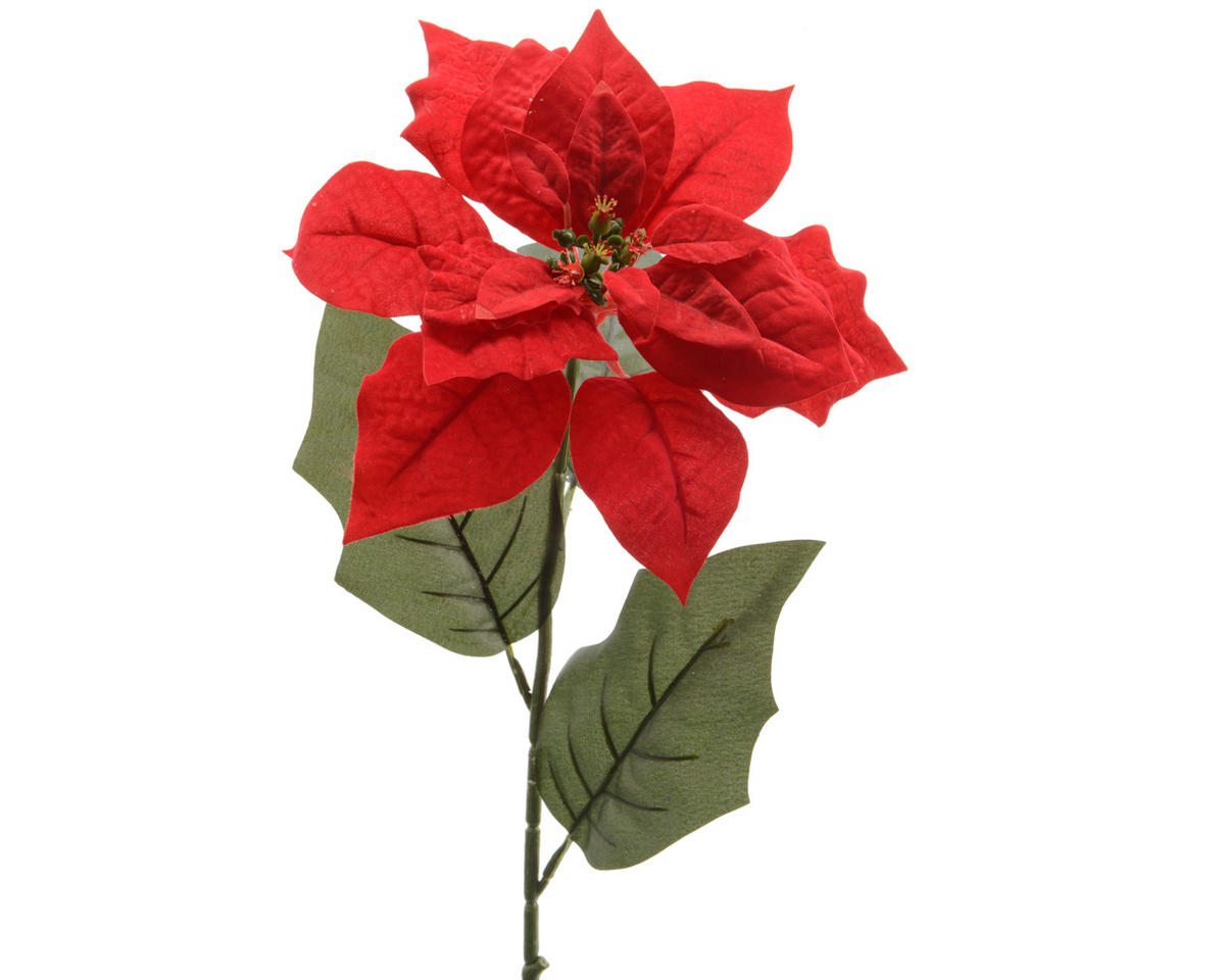 FLOARE DECORATIVĂ - Basics (22/23/67cm)