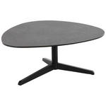 COUCHTISCH Glaskeramik 84/77/34 cm oval Schwarz  - Schwarz, Design, Glas/Metall (84/77/34cm) - Carryhome