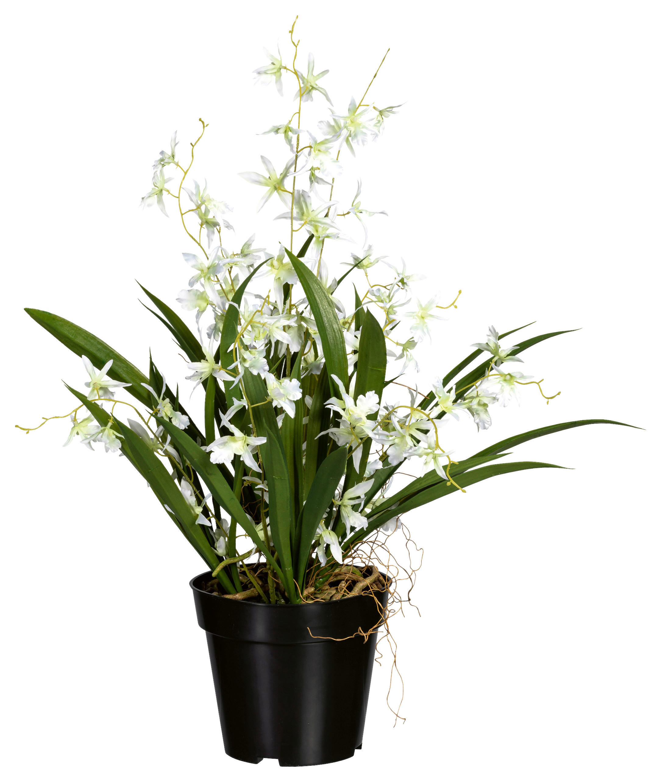 KUNSTPFLANZE Orchidee 60 cm  - Schwarz/Weiß, Design, Kunststoff/Textil (60cm) - P & B