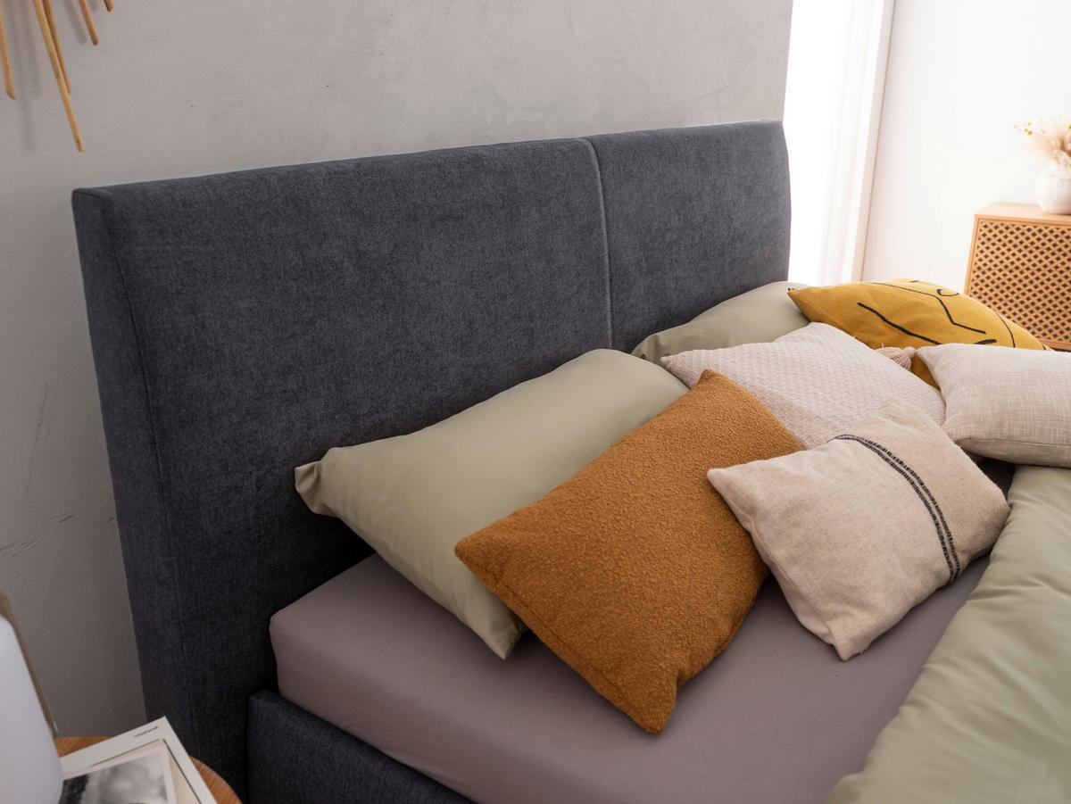 OBLAZINJENA POSTELJA   x  ,  - barve aluminija, Basics, les (180/200cm) - Esposa