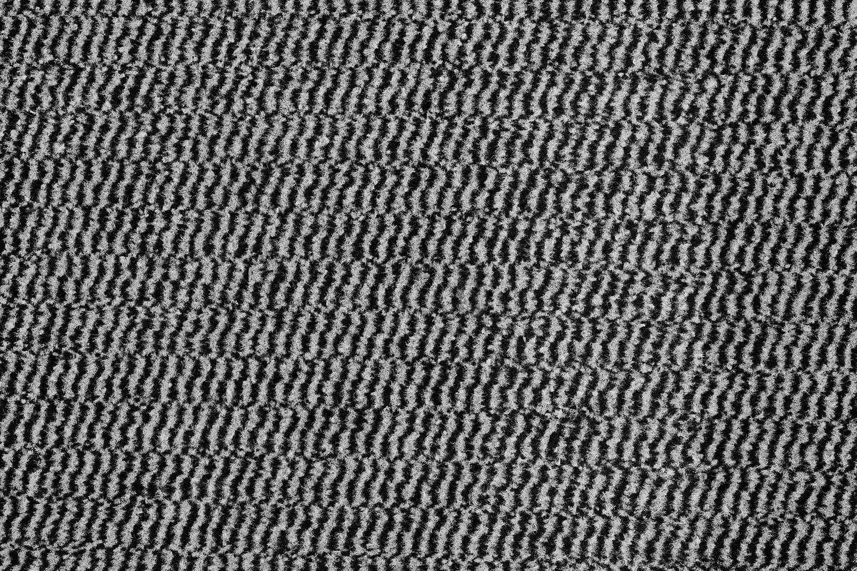 LÄUFER 120/200 cm  - Hellgrau, Basics, Kunststoff (120/200cm) - Esposa