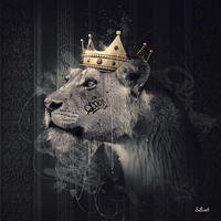 KUNSTDRUCK Tiere 30/30 cm  - Goldfarben/Schwarz, Basics, Papier (30/30cm) - Monee