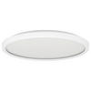 BADEZIMMER-DECKENLEUCHTE  30/2,5 cm    - Weiß, Basics, Kunststoff (30/2,5cm) - Celina