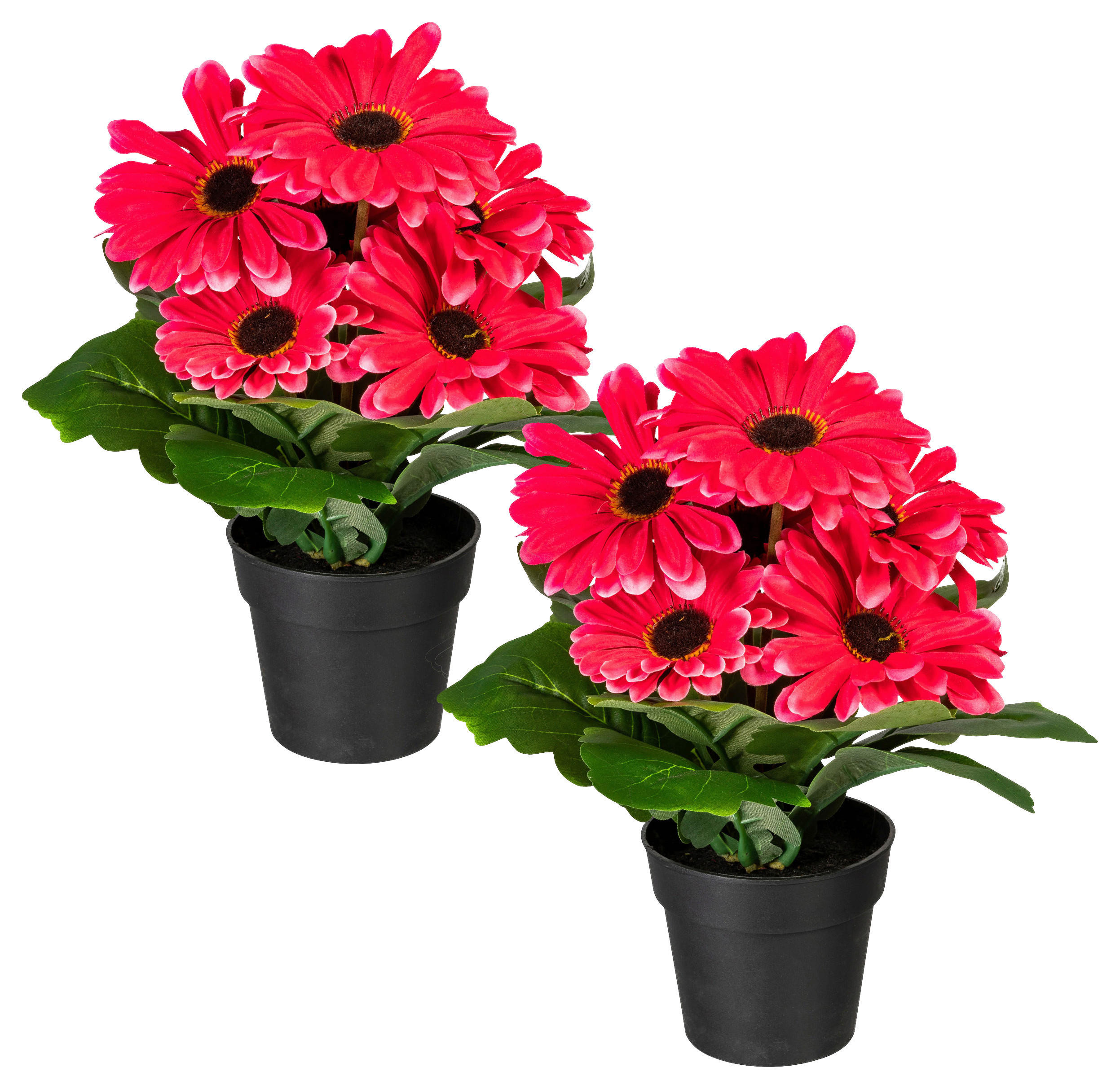 KUNSTPFLANZE Gerbera 27 cm  - Schwarz/Rosa, Design, Kunststoff (27cm) - P & B