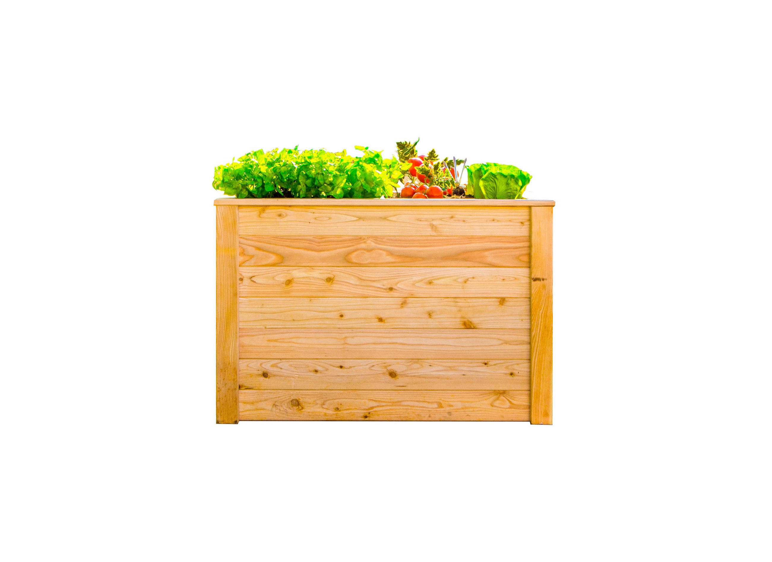 HOCHBEET  - Lärchefarben, Basics, Holz (65/66/100cm) - Ambia Garden
