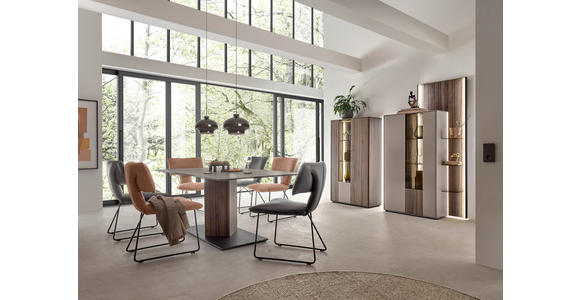 ESSTISCH in Holz 190/95/76 cm  - Anthrazit/Buchefarben, Design, Holz (190/95/76cm) - Johann Jakob