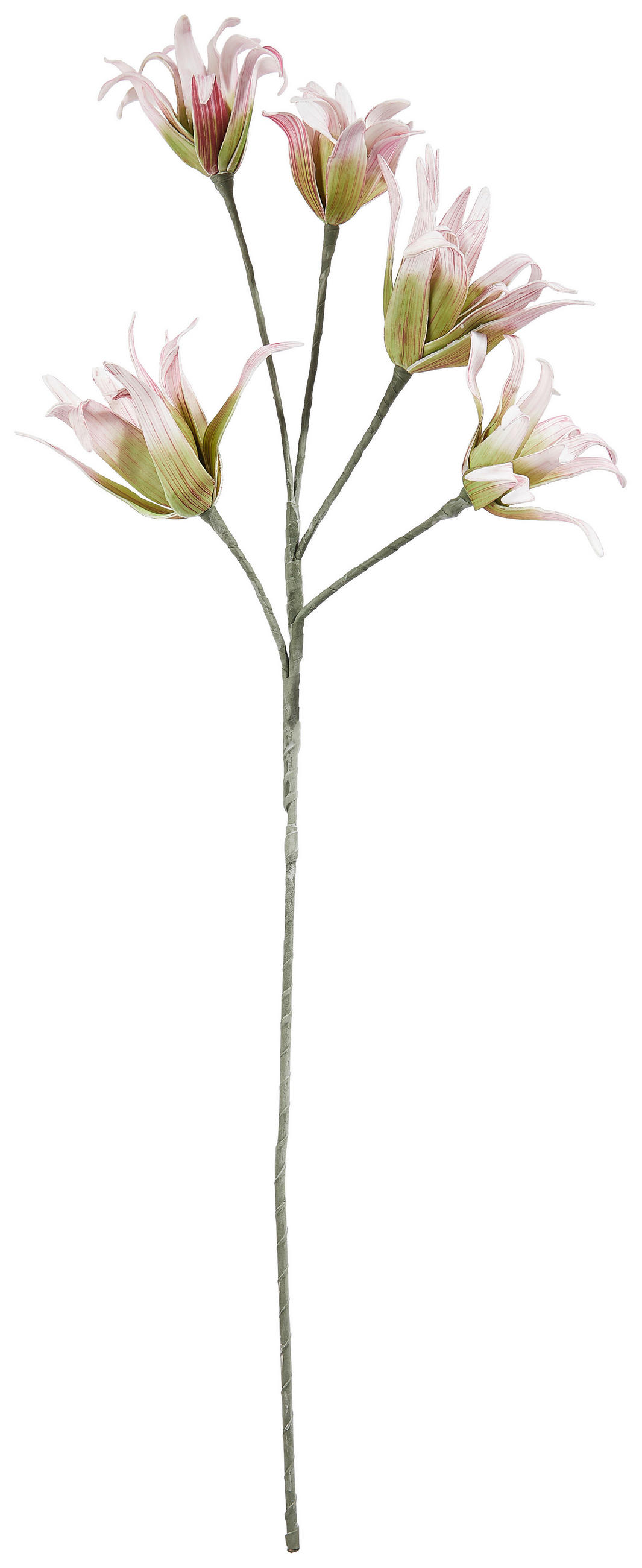 UMĚLÁ KVĚTINA 115 cm - bílá/růžová, Basics, plast (115cm)