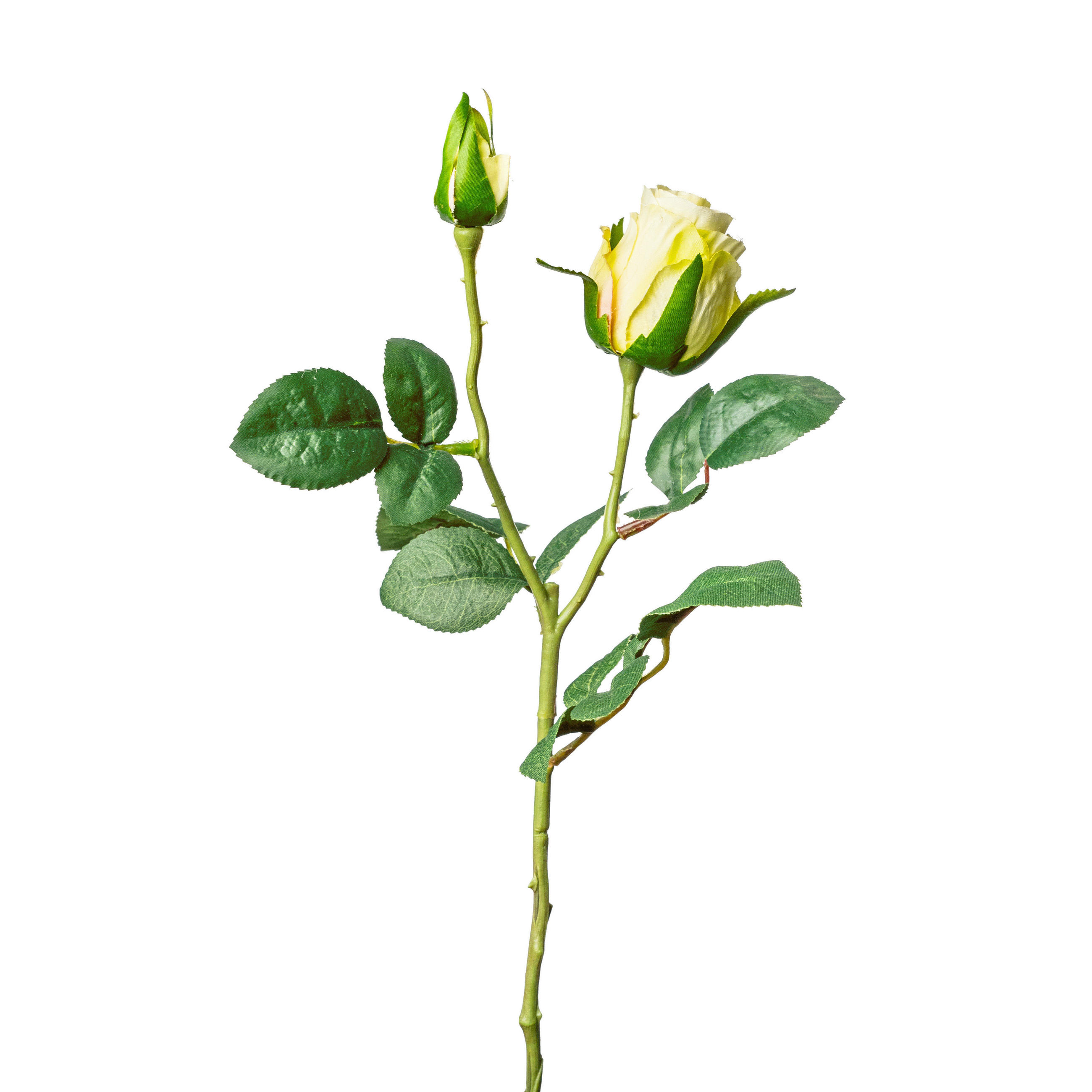 ROSE - Weiss/Grün, Basics, Kunststoff (45cm)