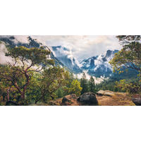 VLIESTAPETE  - Natur (200/100cm) - Komar