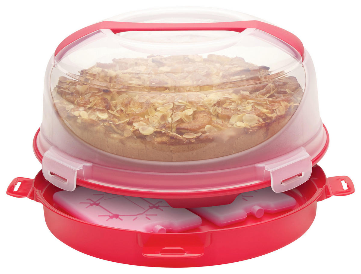 KUCHENTRANSPORTBOX - Transparent/Rot, Basics, Kunststoff (34,5/18cm) - Homeware Profession.