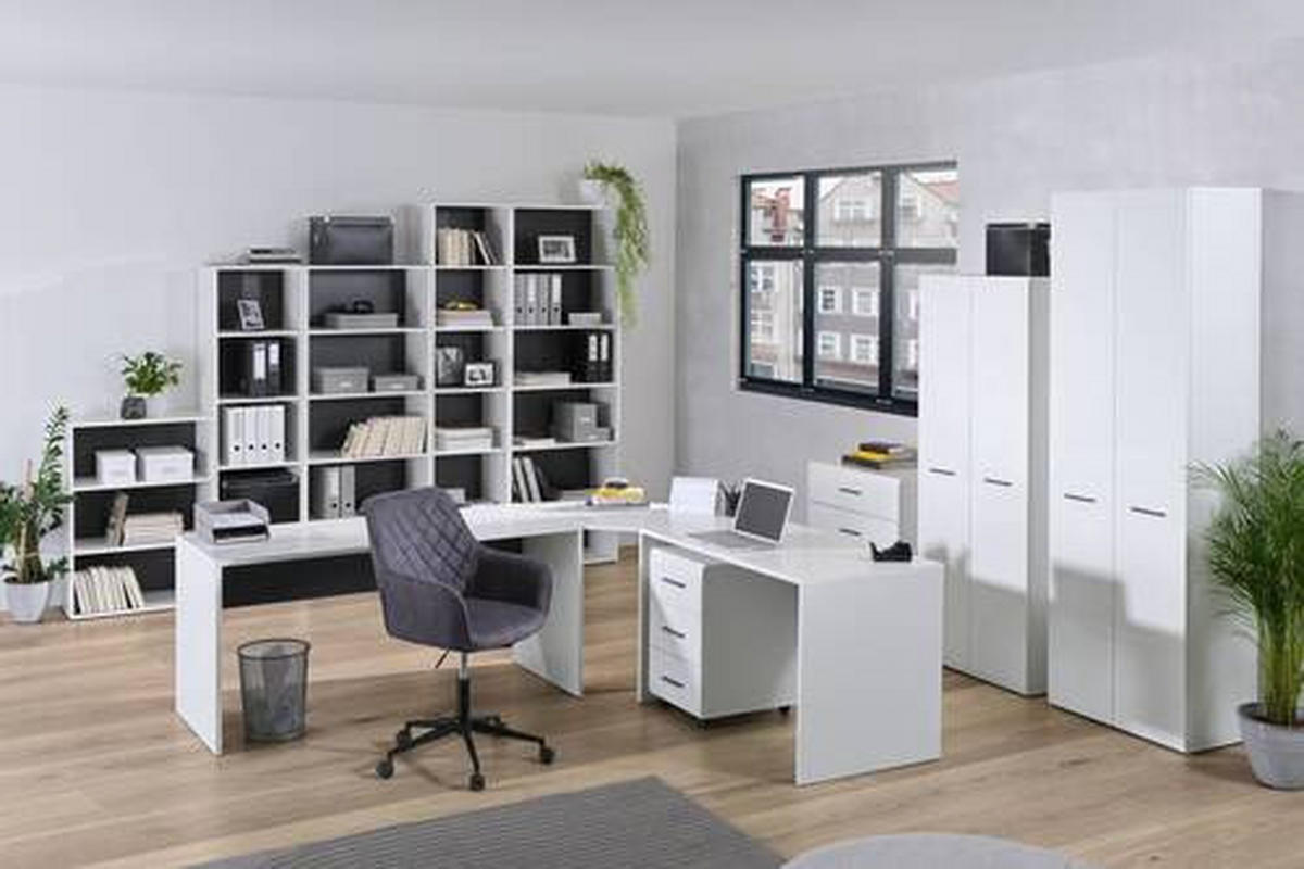 SKRINKA NA DOKUMENTY, antracitová, biela, biela s vysokým leskom, 75/185,6/41,6 cm - biela/biela s vysokým leskom, Basics, kompozitné drevo (75/185,6/41,6cm) - Hom`in