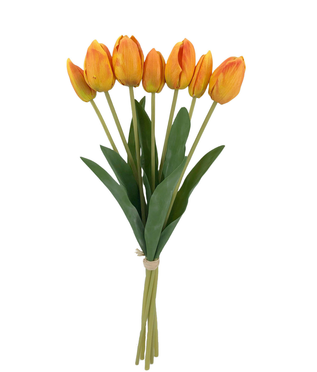 TULPE  - Orange, Basics, Kunststoff (ca. 48 cm cm)