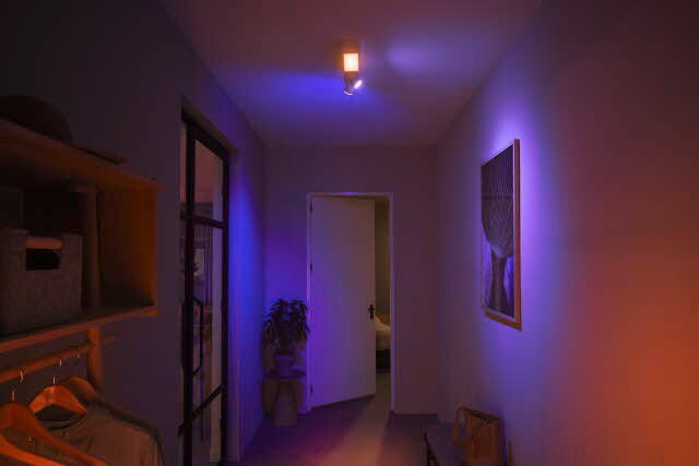 LED-DECKENLEUCHTE   40,8 cm  - Weiß, Basics, Metall (40,8cm) - Philips HUE