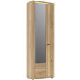 GARDEROBENSCHRANK  in 65/204/38 cm  - Eichefarben/Schwarz, KONVENTIONELL, Glas/Holzwerkstoff (65/204/38cm) - Xora