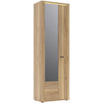 GARDEROBENSCHRANK  in 65/204/38 cm  - Eichefarben/Schwarz, KONVENTIONELL, Glas/Holzwerkstoff (65/204/38cm) - Xora