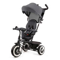 DREIRAD Aston  - Grau, Basics, Kunststoff/Metall (94/105/50cm) - kinderkraft