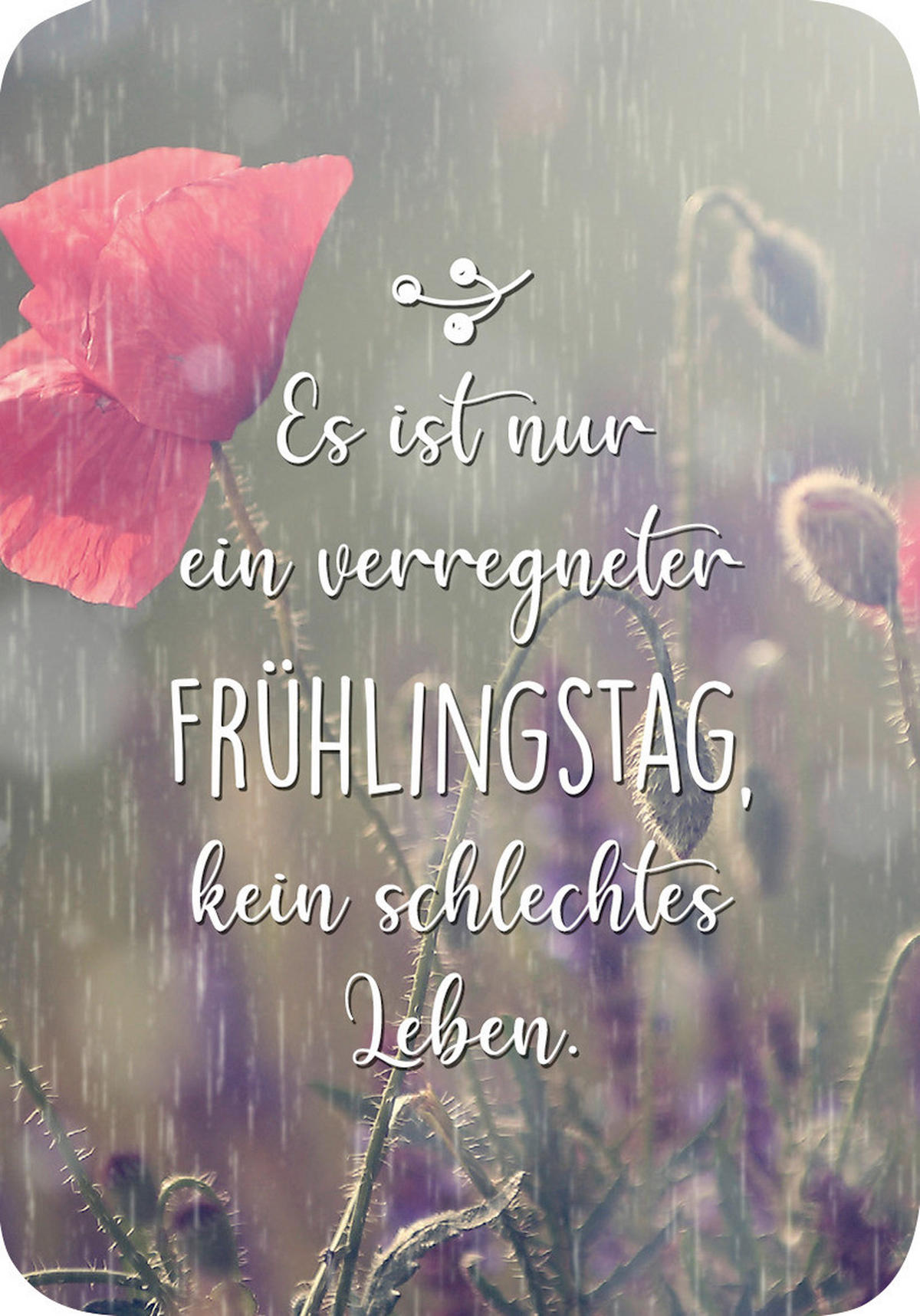 BUCH  - Multicolor, Basics, Papier (7,2/10,2/1,6cm)