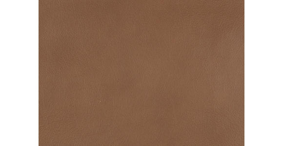RELAXSESSEL in Leder Cognac  - Edelstahlfarben/Cognac, Design, Leder/Metall (76/119/86cm) - Dieter Knoll